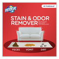 RESOLVE Pet Specialist Stain and Odor Remover, Citrus, 60 oz Refill Pour Bottle, 4/Carton