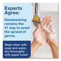 Tork Premium Antibacterial Foam Soap, Unscented, 1 L, 6/Carton