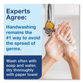 Tork Premium Extra Mild Foam Soap, Sensitive Skin, Unscented, 1 L, 6/Carton