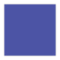 Paper Mate Clear Point Mechanical Pencil, 0.7 mm, HB (#2.5), Black Lead, Blue Barrel