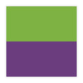 Paper Mate DryLine Correction Tape, Non-Refillable, Green/Purple Applicators, 0.17" x 472", 2/Pack