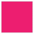 Sharpie Permanent Paint Marker, Medium Bullet Tip, Pink, Dozen