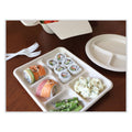 World Centric Fiber Trays, School Tray, 5-Compartments, 8.5 x 10.5 x 1, Natural, Paper, 400/Carton