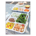 World Centric Fiber Trays, School Tray, 5-Compartments, 8.5 x 10.5 x 1, Natural, Paper, 400/Carton