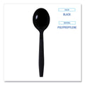 Boardwalk Heavyweight Wrapped Polypropylene Cutlery, Soup Spoon, Black, 1,000/Carton