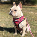 90s Baby Reversible Harness by Pawmigo