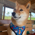 90s Baby Reversible Harness by Pawmigo