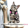 Olyre Pet Headphones for Small Dogs Cats, Adjustable Decorative Neckwear/Neck Accessories for Pets (Head or Neck Circ Under 10 inch),Party Favors,Photo Props-Black&Pink