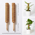 Moss Pole – 2 Coco Coir Poles Extending to 28.7 Inches – Train Indoor Plants To by Vanessa Jane
