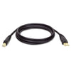 Tripp Lite USB 2.0 A/B Cable, 10 ft, Black