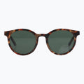 Havana Haze by Jaxy Eyewear