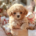 Robot Dog – Realistic Walking, Barking & Tail-Wagging Puppy by DailySale
