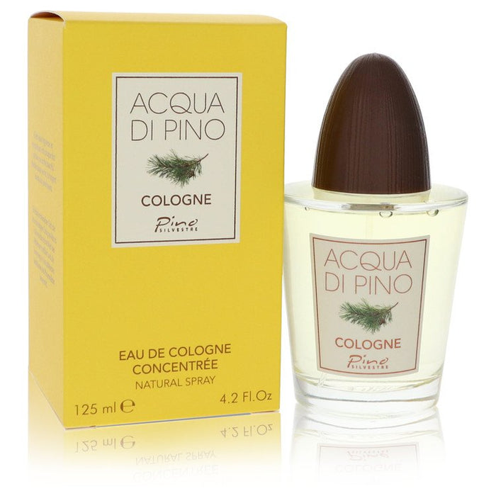Acqua di Pino by Pino Silvestre Eau De Cologne Concentree Spray 4.2 oz for Men by Avera Group