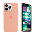 iPhone Silicone Case (Begonia) by Vogueen