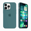 iPhone Silicone Case (Pine Green) by Vogueen