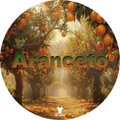 Wholly Kaw Aranceto Shaving Collection by Pasteur Pharmacy