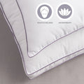 Allie by Porch & Den Lavender Scented Cotton Pillow Protector by Vanessa Jane