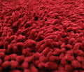 DaDa Bedding Burgundy Red Shaggy Soft Chenille Noodle Carpet Rug Bath Mat by DaDalogy Bedding Collection