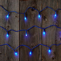 UltraLED Battery Operated Frosted Twinkle Light String, Blue by Vanessa Jane