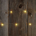 Tiny Lites Battery Operated Silver Wire Indoor LED Light String, Warm White, 4-F by Vanessa Jane