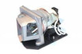 Projector Lamp for Optoma OPX OP-X3200; Optoma OP-3 OP-300W; Optoma TX TX615-GOV; Optoma TX TX615-3D by Texas Depot