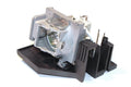 Projector Lamp for Optoma TX TX775; Optoma EzPro EzPro 772; Optoma EX EX772; Optoma EP EP772; 3M AD by Texas Depot