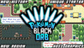 Pokemon Black Orb GBA ROM Hack Video Game Custom Gameboy Advance by VintageVideoGameStore
