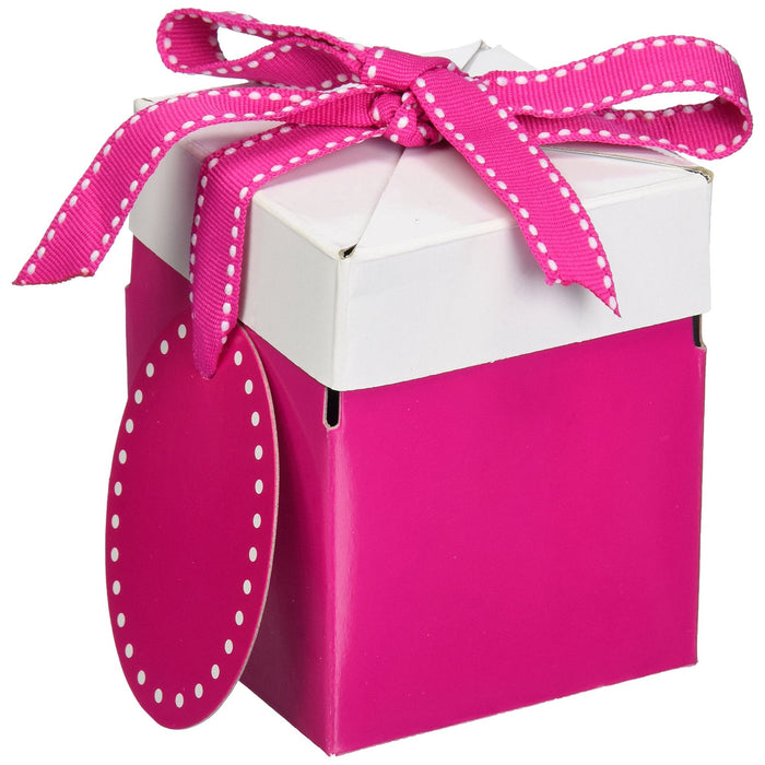 Boston International Progress Luvpak Eco Giftalicious Pop-Up Gift Box by Vanessa Jane
