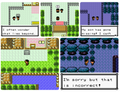 Pokemon Bronze 2 GBC Video Game Gameboy Color ROM Hack by VintageVideoGameStore