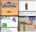Pokemon Bronze 2 GBC Video Game Gameboy Color ROM Hack by VintageVideoGameStore