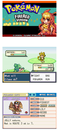 Pokemon Moemon Fire Red GBA ROM Hack Video Game Custom Gameboy Advance by VintageVideoGameStore