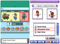 Pokemon Touhoumon HeartGold NDS Nintendo DS Custom ROM Hack Video Game by VintageVideoGameStore