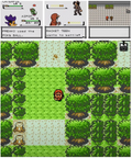 Pokemon Bronze GBC ROM Hack Video Game Custom Gameboy Color by VintageVideoGameStore