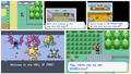 Pokemon Rocket Science GBA ROM Hack Video Game Cartridge Custom Gameboy Advance by VintageVideoGameStore
