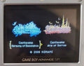 Castlevania Double Pack GBA Video Game Boy Advance 2006 Nintendo by VintageVideoGameStore