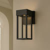 Globe Electric Bowie Integrated LED Outdoor Indoor Wall Sconce, 4424