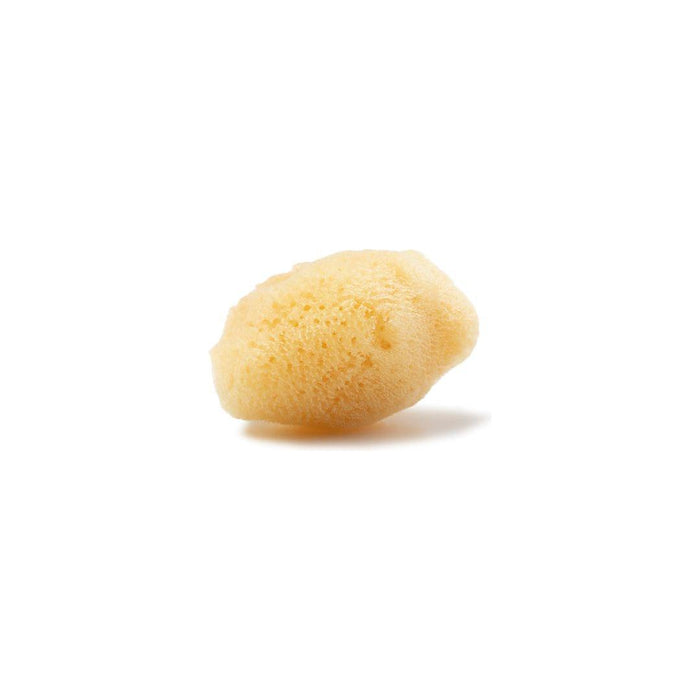 The Sponge Company Sea-Silk Cosmetic Sponge #2 1Pc Med [101-02] by Pasteur Pharmacy