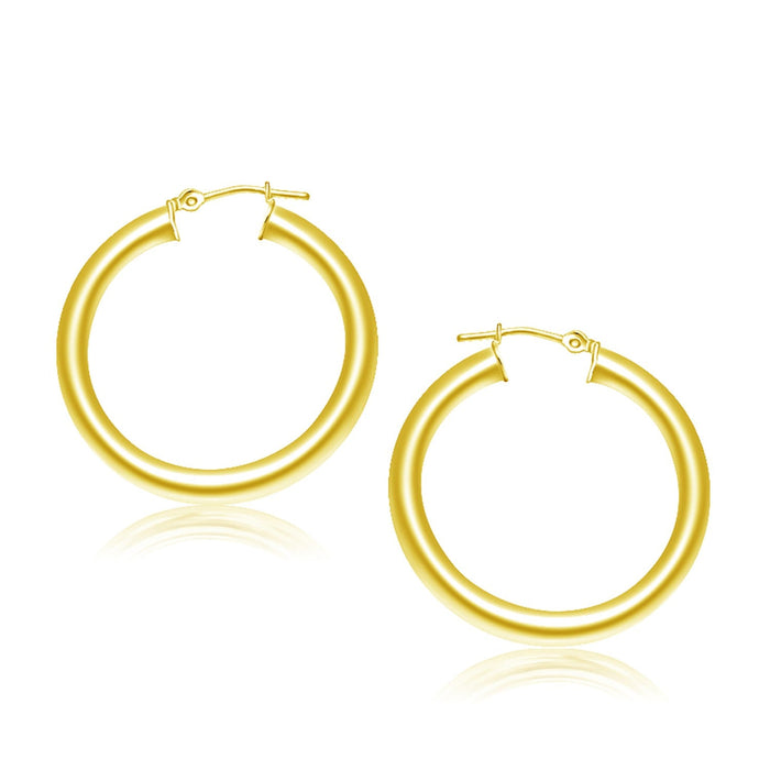 14k Yellow Gold Polished Hoop Earrings (4x30 mm) by Avera Group