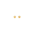 14k Yellow Gold Polished Round Stud Earrings(3mm) by Avera Group