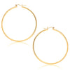 14k Yellow Gold Polished Hoop Earrings (45  mm)