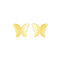 14k Yellow Gold Polished Butterfly Earrings by Avera Group