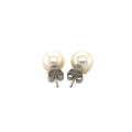 Freshwater Pearl Earrings in Sterling Silver(8mm) by Avera Group