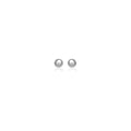 14k White Gold Spherical Stud Earrings (3.0 mm) by Bids.com