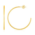 14k Yellow Gold Polished Hoop Earrings by Bids.com