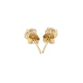 14k Yellow Gold Stud Earrings with White Hue Faceted Cubic Zirconia(5mm) by Avera Group