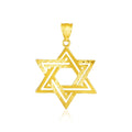 14k Yellow Gold Textured Star of David Pendant by Avera Group