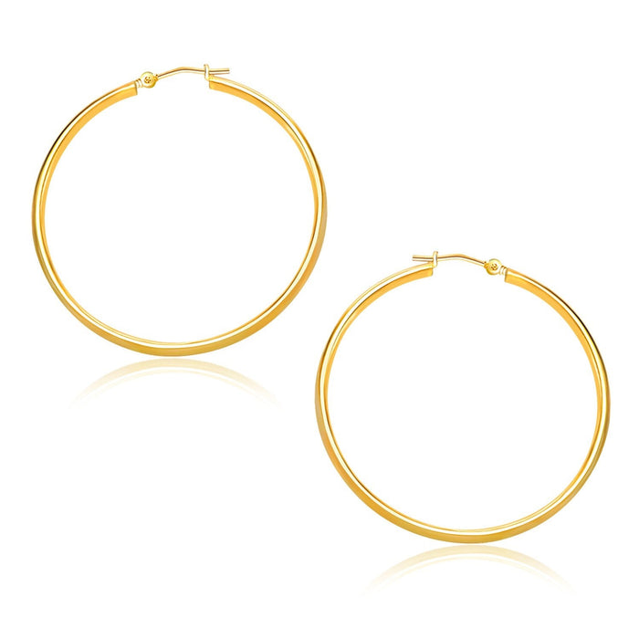 10k Yellow Gold Polished Hoop Earrings (30mm) by Avera Group
