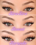 Manga Muse Bundle by Pink Purée