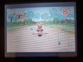 Diddy Kong Pilot GBA Video Game Cartridge Game Boy Advance Nintendo by VintageVideoGameStore