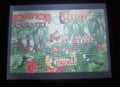 Donkey Kong Country 1 GBA Video Game Cartridge Game Boy Advance 2003 by VintageVideoGameStore